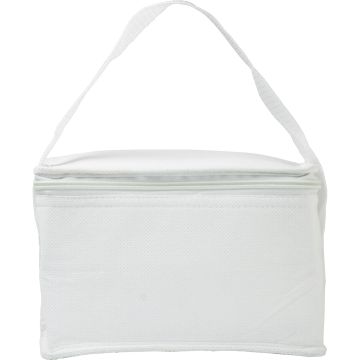 Cooler bag