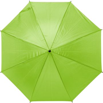 Umbrella Lime