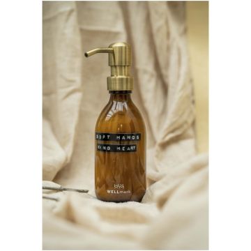 Wellmark Soft Hands 250 ml hand lotion dispenser