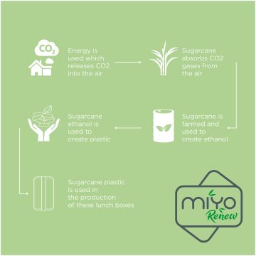 MIYO Renew single layer lunch box