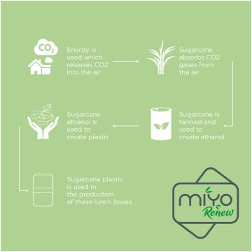 MIYO Renew double layer lunch box