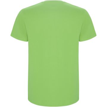 Stafford short sleeve kids t-shirt