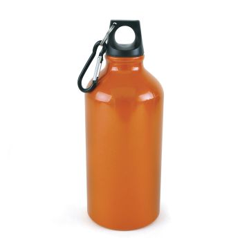 Pollock Glossy 550ml Sports Bottle