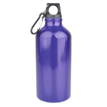 Pollock Glossy 550ml Sports Bottle