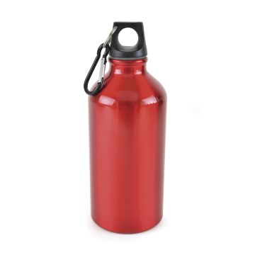 Pollock Glossy 550ml Sports Bottle