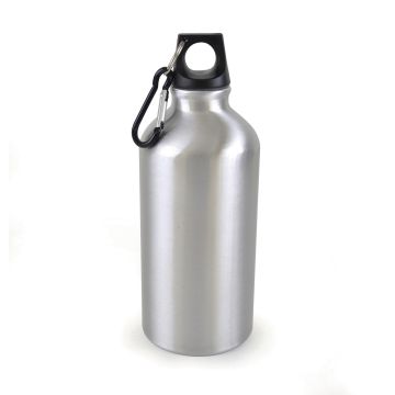 Pollock Glossy 550ml Sports Bottle