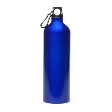 Pollock Glossy 1litre Sports Bottle
