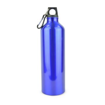 Pollock Glossy 750ml Sports Bottle