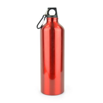 Pollock Glossy 750ml Sports Bottle 