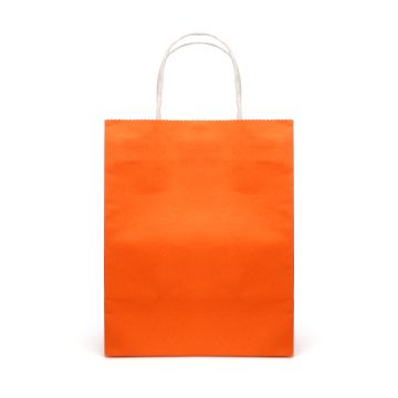 Brunswick Medium Coloured Paper Bag