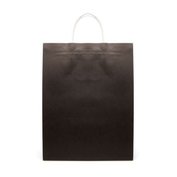 Brunswick Large Coloured Paper Bag