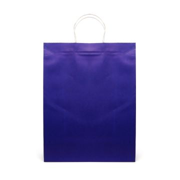 Brunswick Large Coloured Paper Bag
