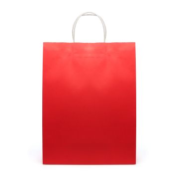 Brunswick Large Coloured Paper Bag