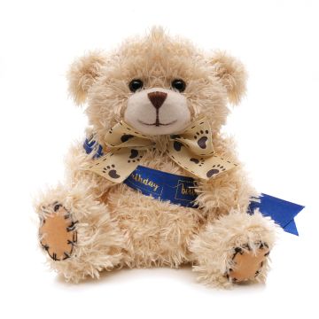 Small Patched Paw Teddy
