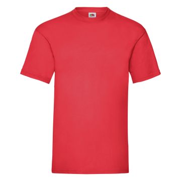 Valueweight T Cotton T-Shirt