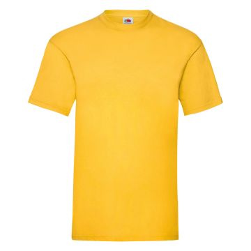 Valueweight T Cotton T-Shirt