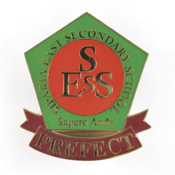 Promotional Large Metal Badge