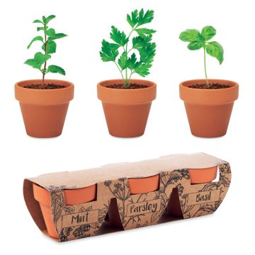 FLOWERPOT Grow Your Own Herbs Gift Set With Terracotta Pots Wood - 1 Bounce Creative Designs