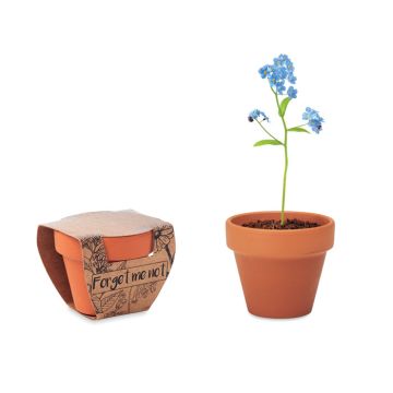 FORGET ME NOT Flower Grow Your Own Kit With Terracotta Pot Wood - 1 Bounce Creative Designs
