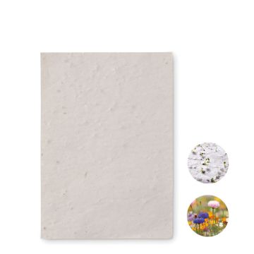 ASIDO A6 Recycled Seed Paper Wild Flowers