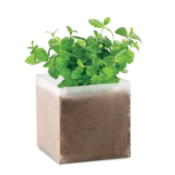 MINT Herb Growing Kit With Grow Bag Beige - 1 Bounce Creative Designs