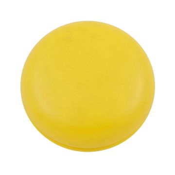 Plastic yo-yo