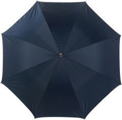 Umbrella with silver underside