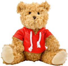 Plush teddy bear with hoodie