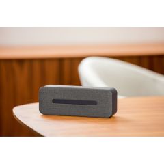THUNDER. Portable speaker with microphone
