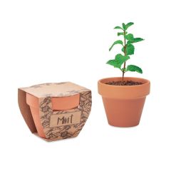 MINT POT Terracotta with Mint Seeds