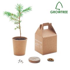 GROWTREE™ Pine Tree Growing Kit