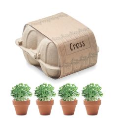 CRESS In Egg Carton Growing Kit