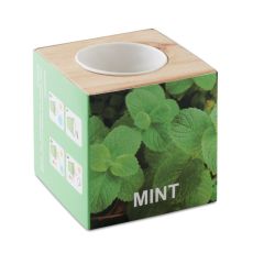 MENTA Mint Herb Growing Kit With Wooden Pot