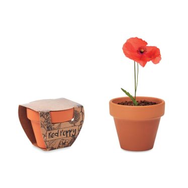 RED POPPY Grow Your Own Kit With Terracotta Pot