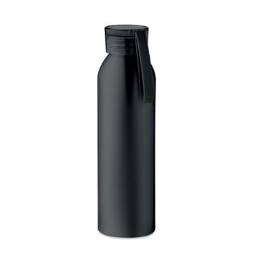 NAPIER Metal Bottle With Carrying Loop 600ml