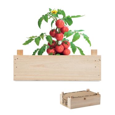 TOMATO Grow Your Own Tomatoes Kit With Wooden Crate